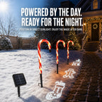 🎄Solar Candy Cane Projector Pathway Lights – Light the Way to Christmas