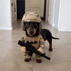 🔥Funny Tactical Soldier Pet Costume – Front-Facing Military Uniform for Dogs & Cats