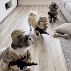 🔥Funny Tactical Soldier Pet Costume – Front-Facing Military Uniform for Dogs & Cats